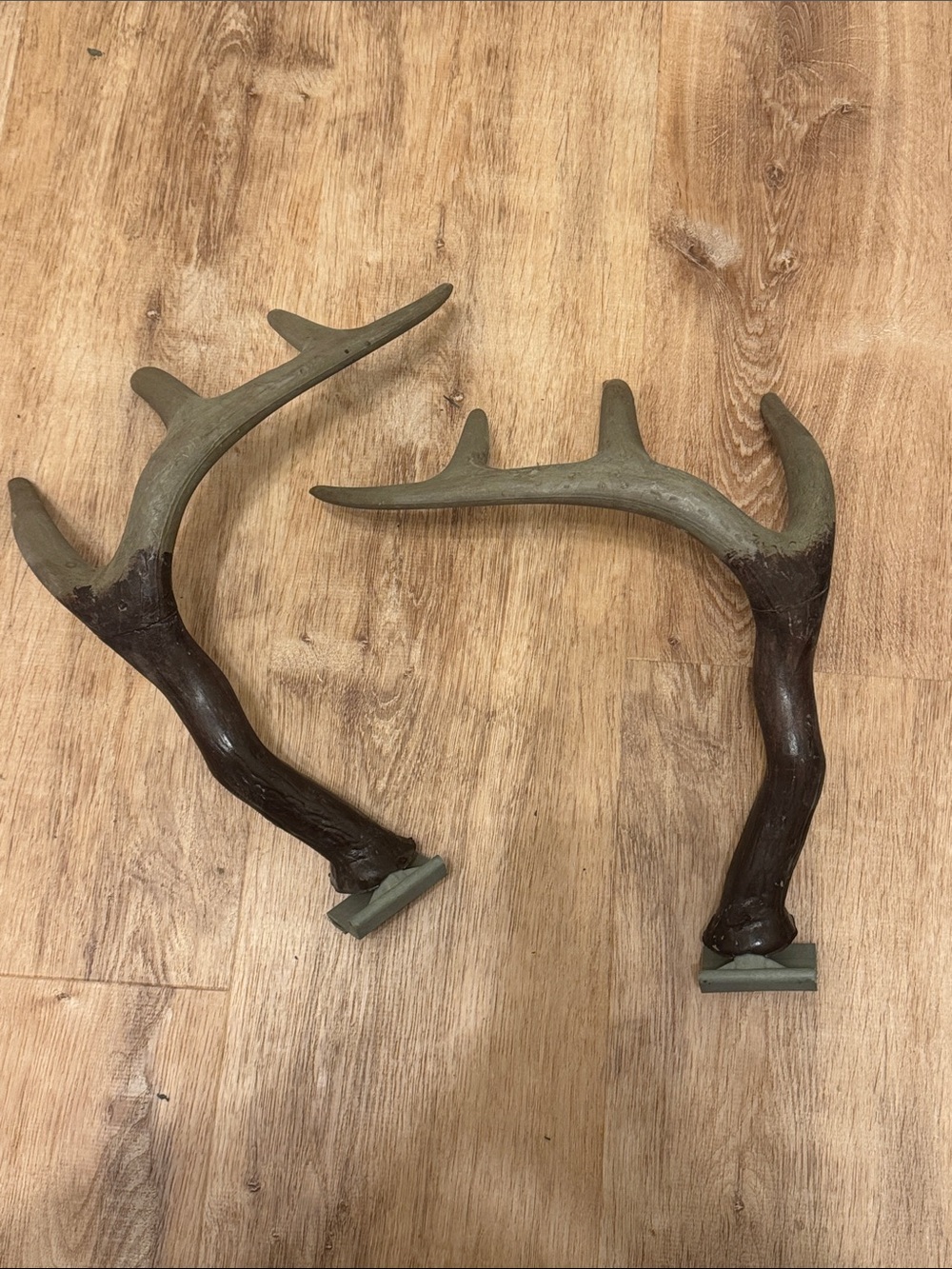 Truck Antlers